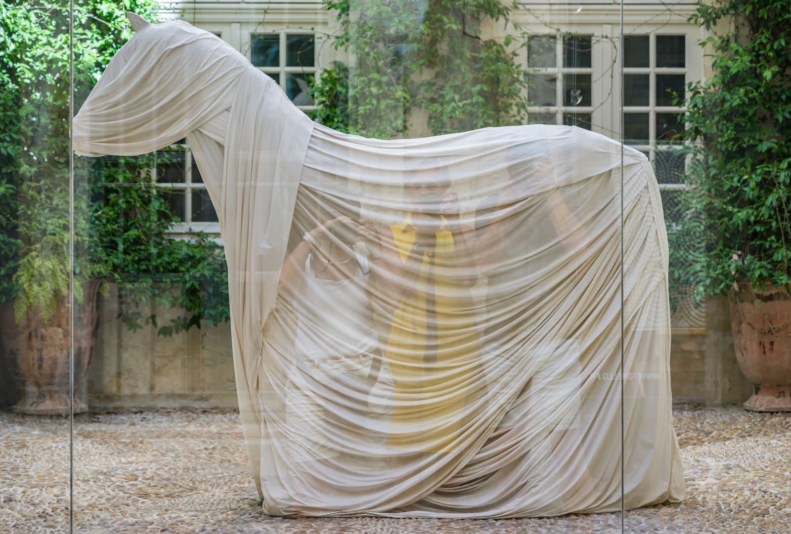Het paard van Arles
